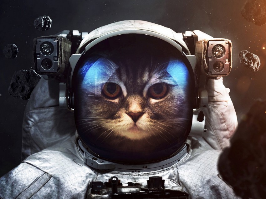 Cat Cosmonaut Space Suit Space Background