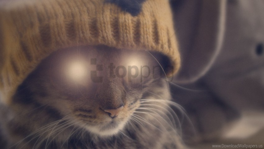 Cat Eyes Face Glow Hat Wallpaper PNG Transparent Background