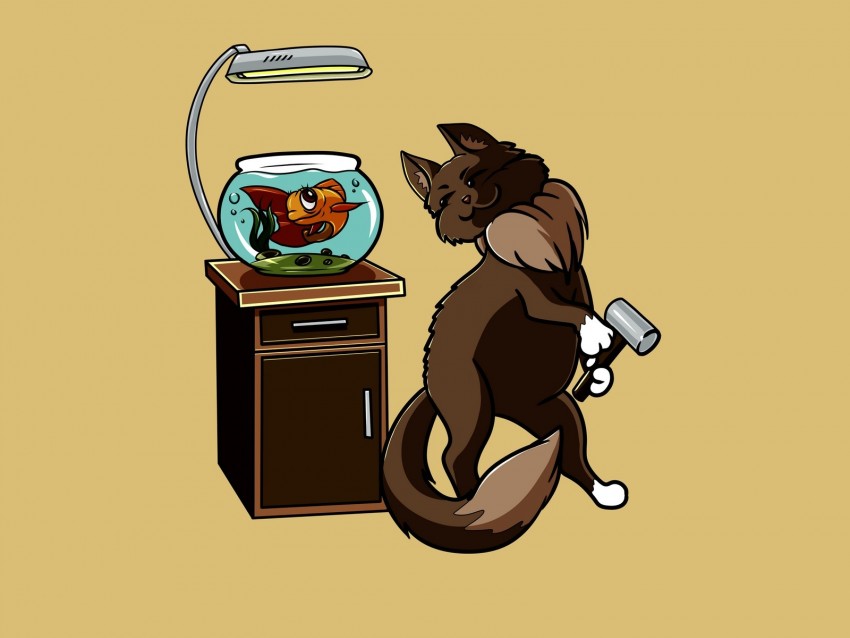 cat, fish, aquarium, funny, art, friends