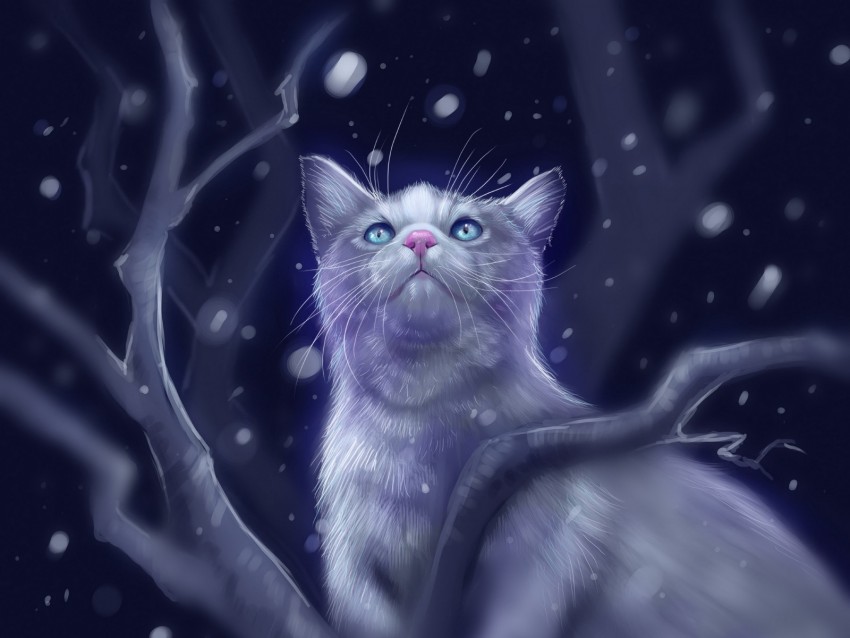 Cat Glance Art Snow Glare Background