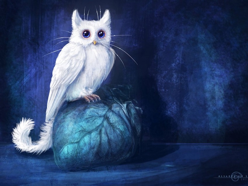 cat, owl, art, fantasy