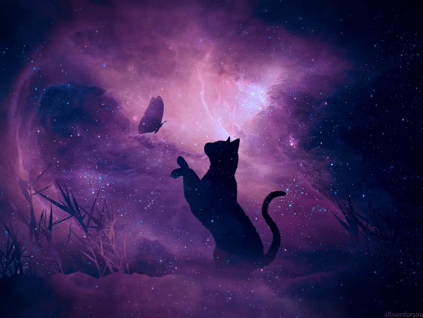 Cat Silhouette Butterfly Starry Sky Galaxy Stars Shine Background