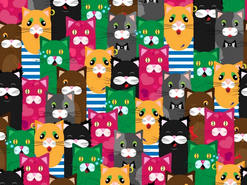 Cats Funny Colorful Pattern Texture Background