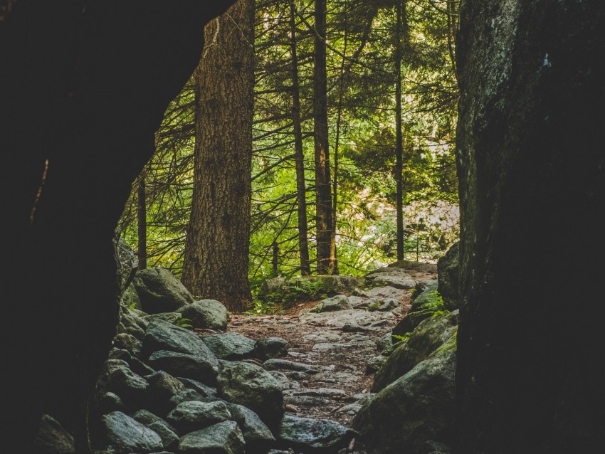 Cave Forest Trees Stones Path Background