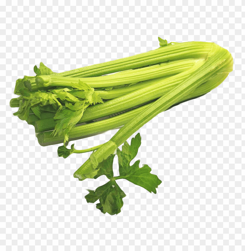 
vegetables
, 
celery
