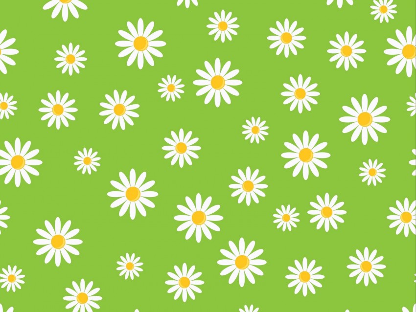 chamomile, patterns, texture, art, green