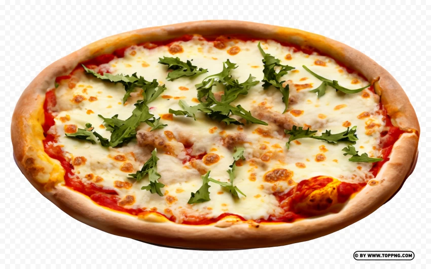 Pizza Transparent, Pizza PNG HD, Pizza No Background, Pizza Clear Background, Pizza, Pizza Transparent Background, Pizza PNG Image