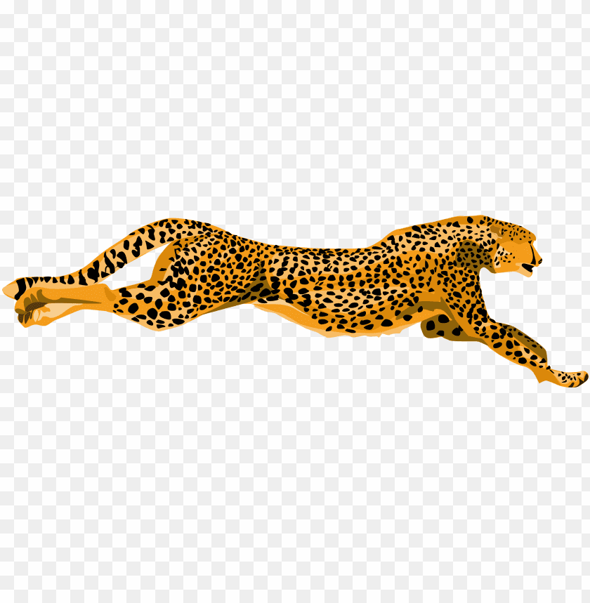 cheetah,cheetah free png,cheetah png free,cheetah png,cheetah images png,cheetah file png,cheetah transparent