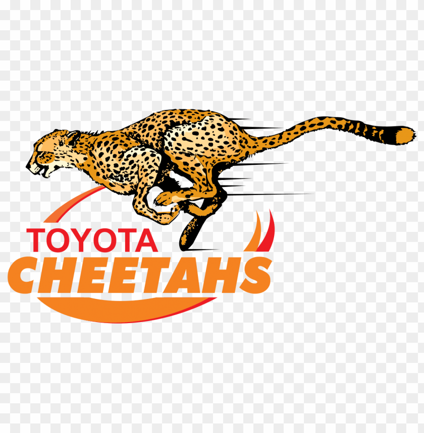 sports, rugby team ireland, cheetahs rugby logo, 