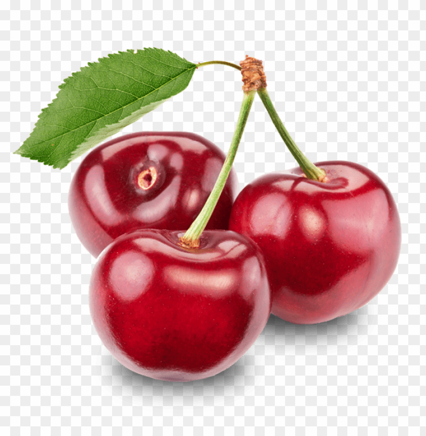 
cherry
, 
genus prunus
, 
sweet cherry
, 
, 
ornamental cherry
, 
cherry blossom
, 
cherries
