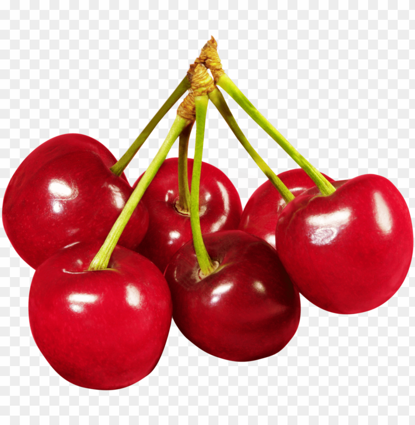 Five fresh red cherries on a transparent background