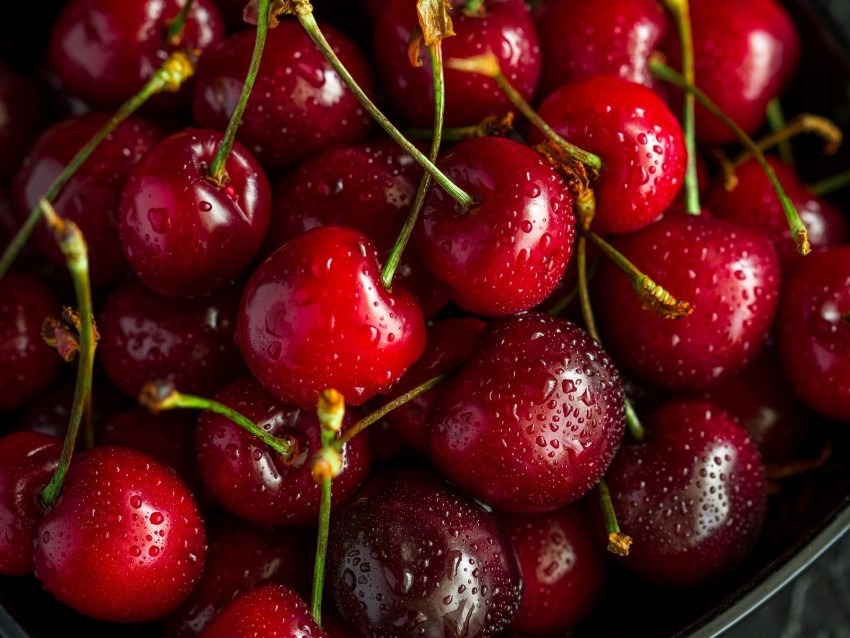 Cherry Ripe Wet Berries Harvest Red Drops Background