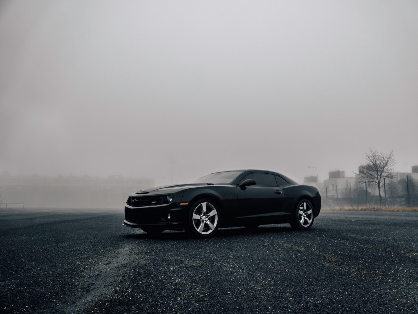 chevrolet camaro, chevrolet, side view, fog