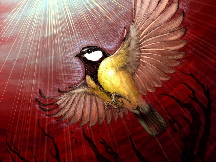 chickadee, bird, rays, shine, tree, art