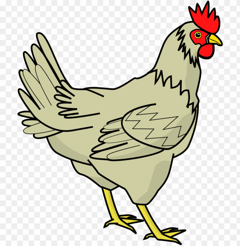 chicken,chicken free png,chicken png free,chicken png,chicken images png,chicken file png,chicken transparent