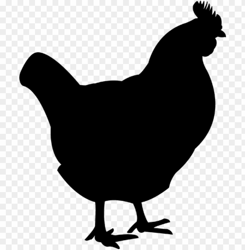 chicken,chicken free png,chicken png free,chicken png,chicken images png,chicken file png,chicken transparent