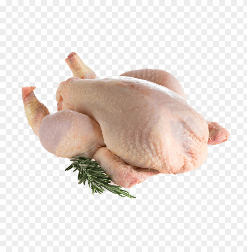 chicken meat png, chickenmeat,png,chicken