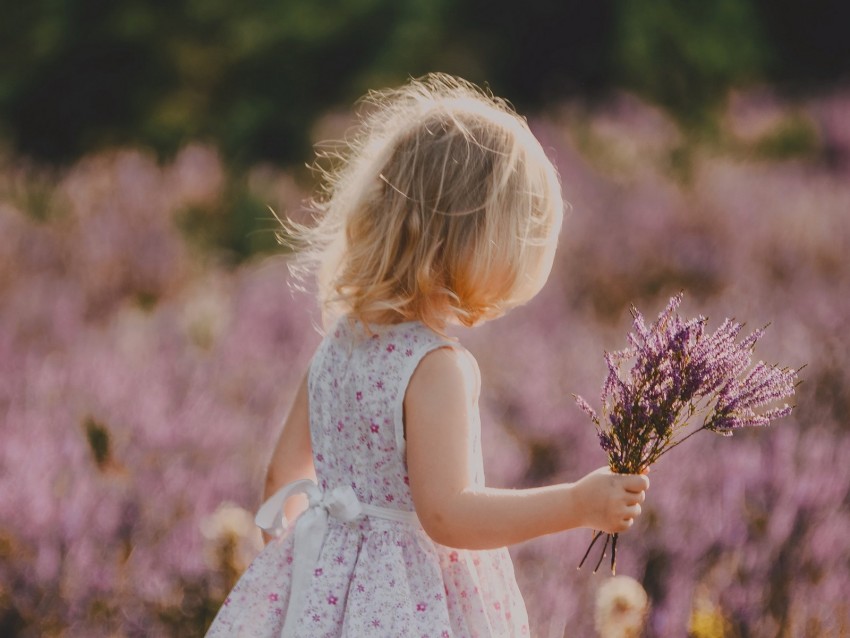 Child Flowers Lavender Bouquet Field Background