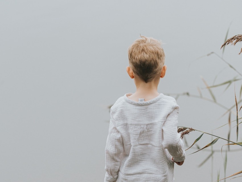 child, pier, reed, water, lake