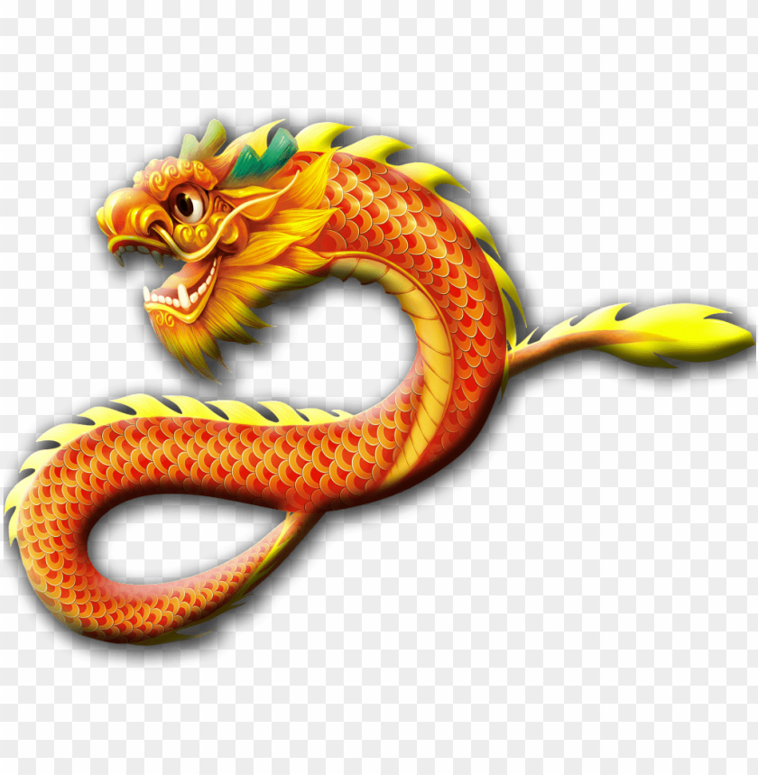 chinese dragon, dragon ball logo, dragon tattoo, blue dragon, chinese hat, skyrim dragon