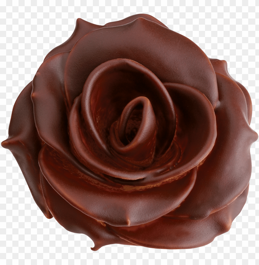 
chocolate
, 
sweet
, 
cacao
, 
anandamide
, 
chocolate rose
