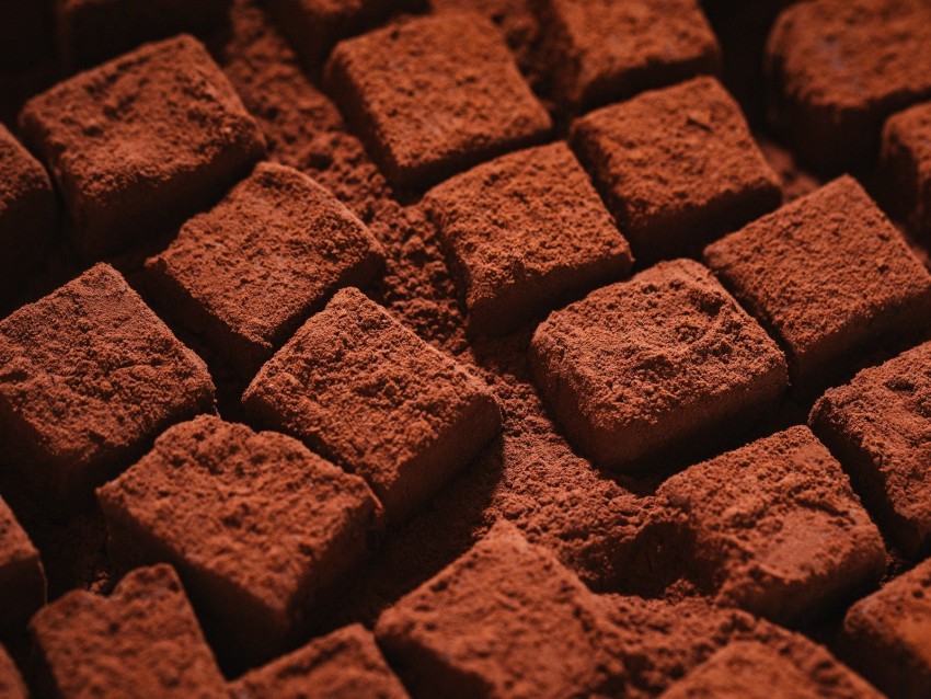 chocolate, cubes, dessert, powder, macro