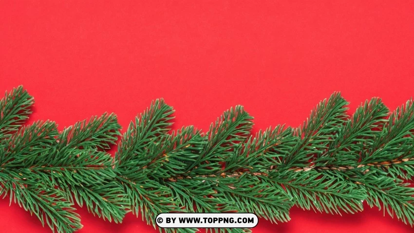 Christmas Aesthetic Red Green Pine Branches Wallpaper PNG Transparent Background