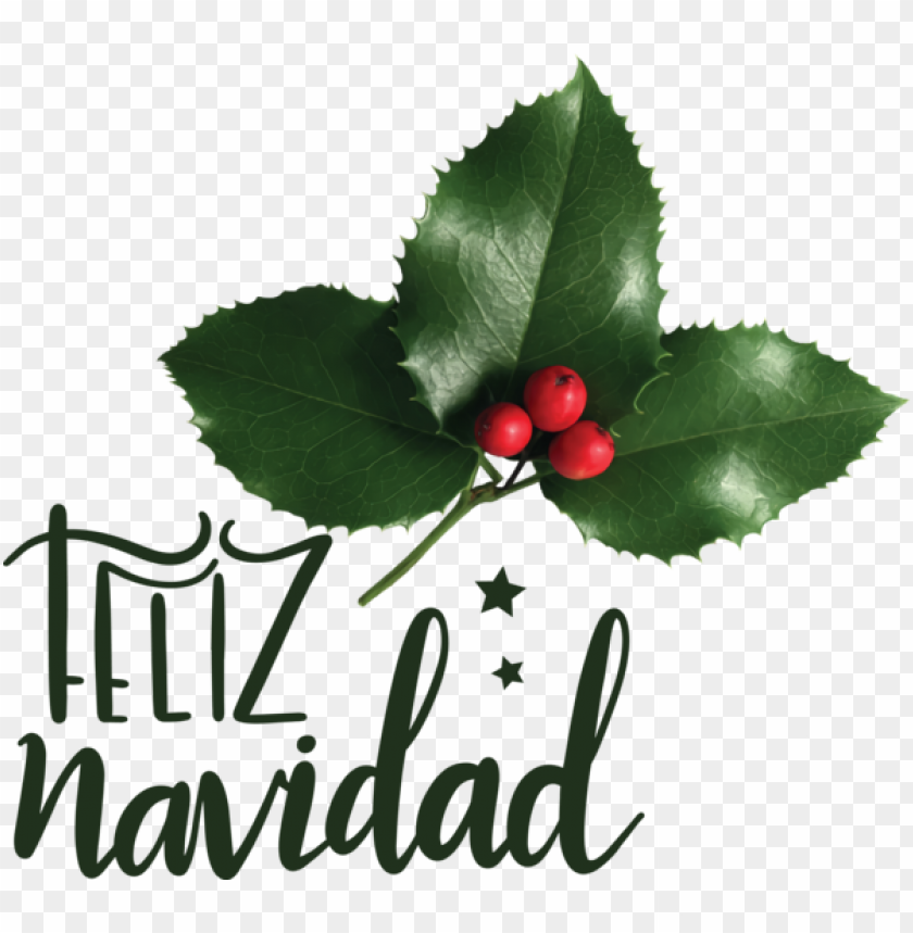 christmas day mothers day santa claus,christmas,feliz navidad,transparent png