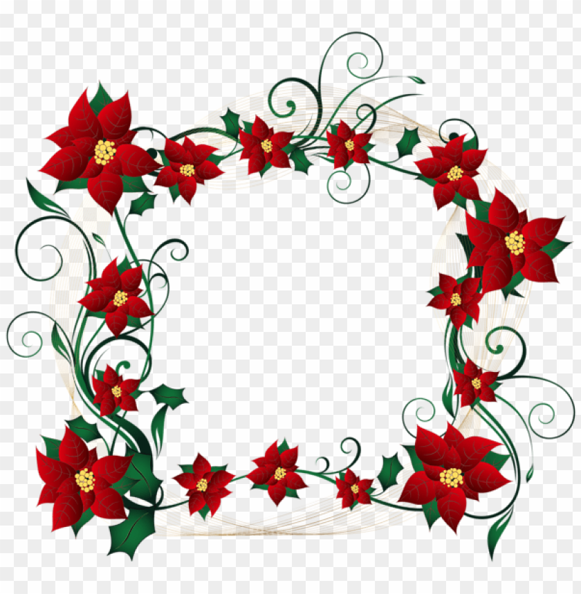 poinsettia, holiday decor, red flowers, festive plants, Christmas decorations, ornamental plants, floral frame