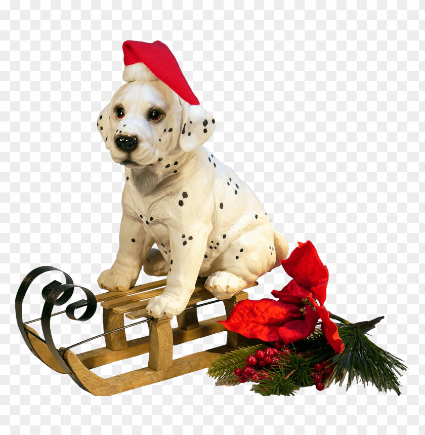 Christmas puppy on sleigh PNG, festive, cute, decoration