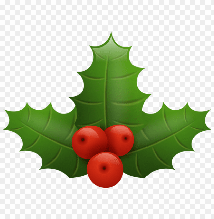 holly, green leaves, red berries, festive decor, seasonal plant, holiday greenery, nature leaves