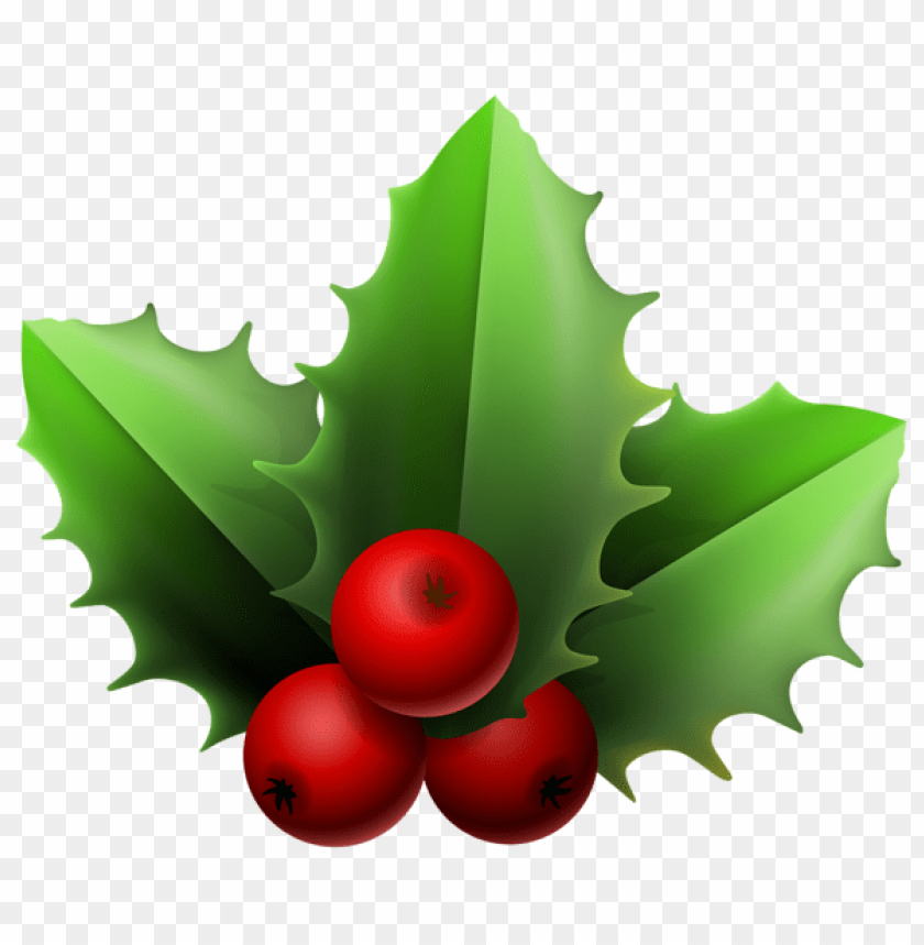 holly, green leaves, red berries, festive plants, winter foliage, ornamental plants, decorative greenery