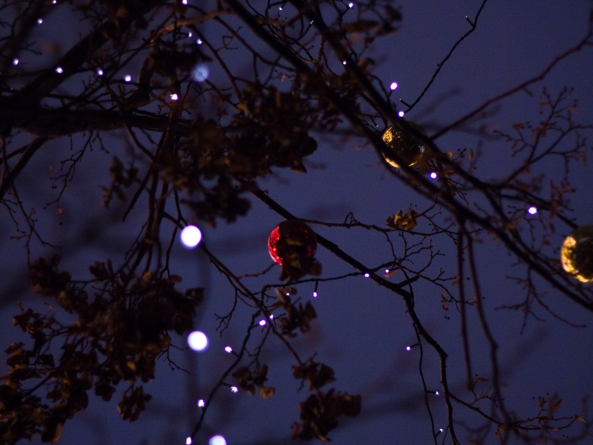 christmas toys, garland, light, tree, branches, new year, christmas