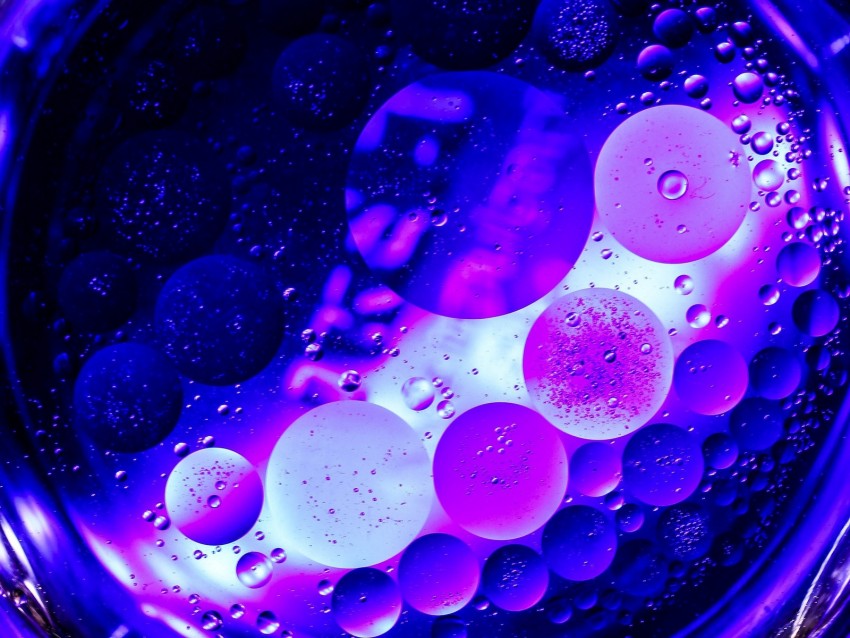 circles, bubbles, purple, macro