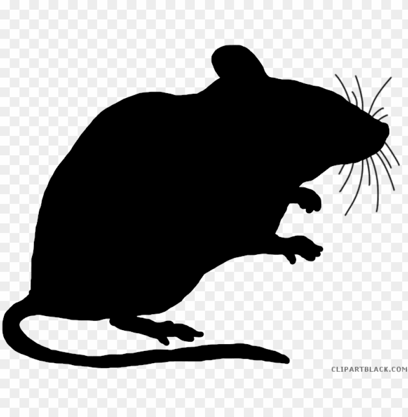 carnival, isolated, computer, male, illustration, animal, rat