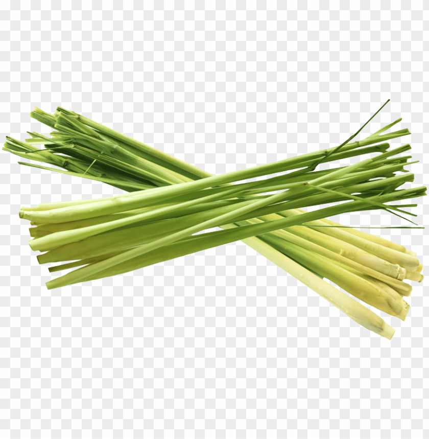 citronella