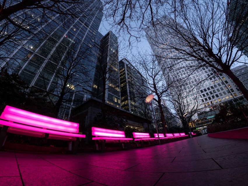 city, benches, neon, trees, buildings, lights