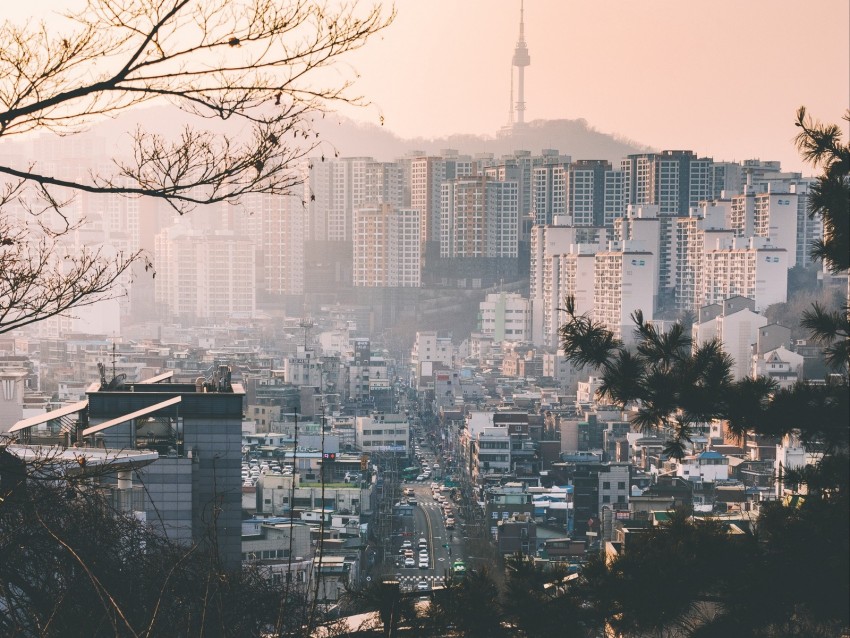 City Fog Buildings Branches Aerial View Background