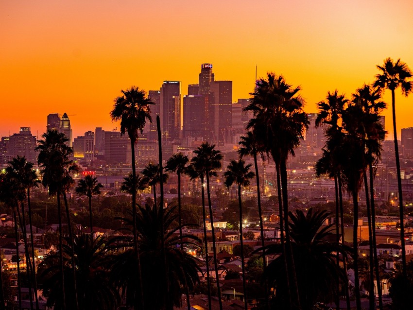 City Palm Trees Sunset Buildings Skyscrapers Los Angeles Background