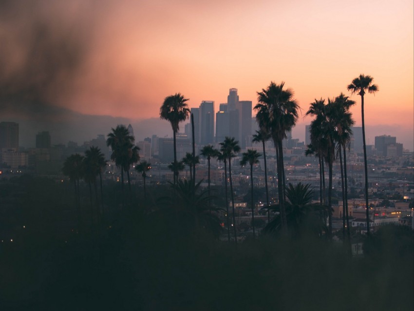 city, palm, view, overview, twilight, dark