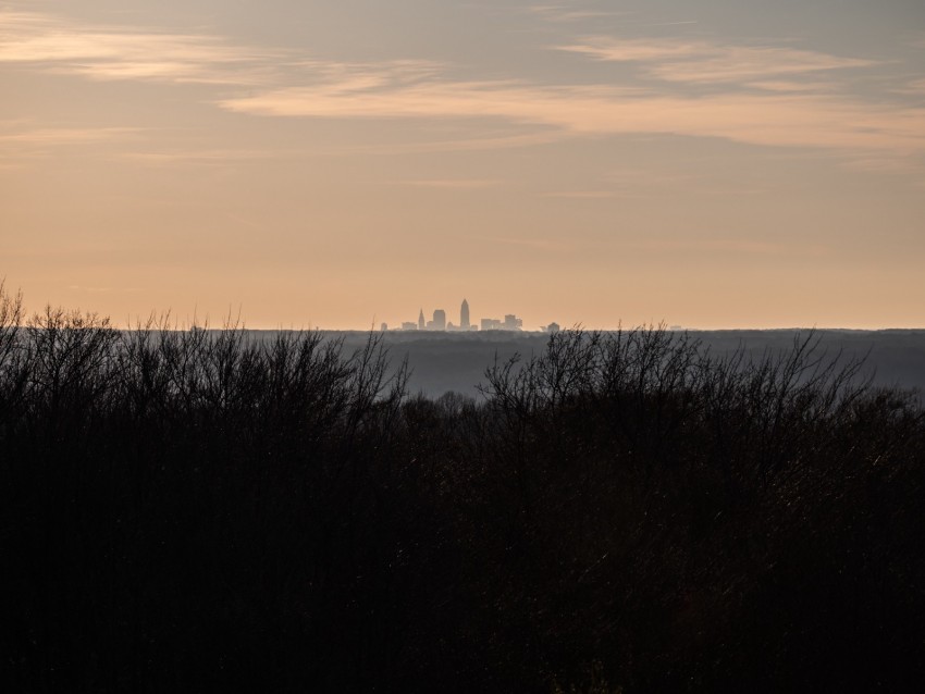 city skyline, distant view, sunset lighting, urban landscape, silhouette trees