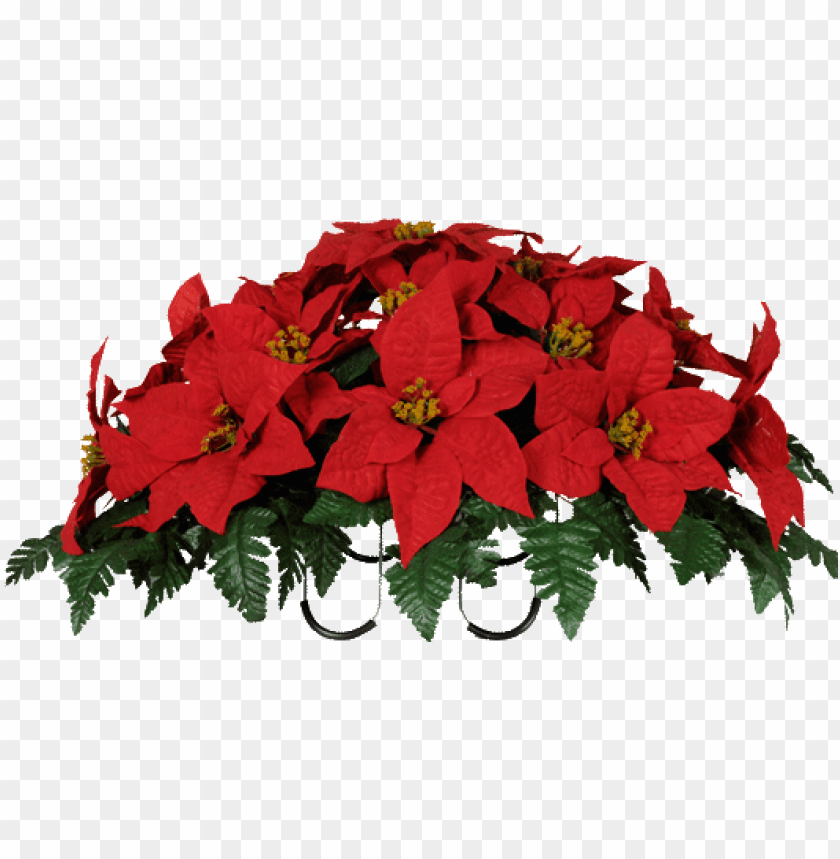 illustration, abstract, poinsettia, photo, holiday, imagination, christmas