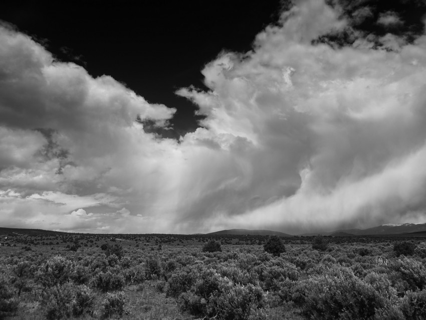 clouds, landscape, bw, bushes, trees, hills