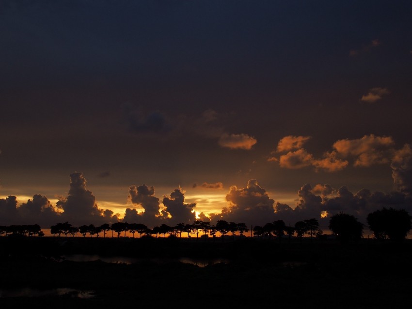 clouds, sunset, horizon, trees, sky, night, dark