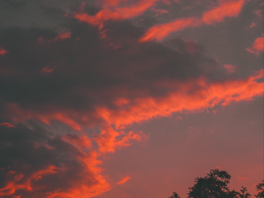 Clouds Tree Sky Sunset Orange Background