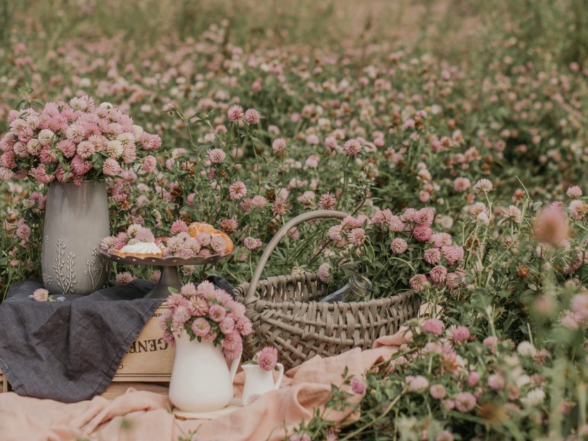 Clover Flowers Field Wild Bouquets Background