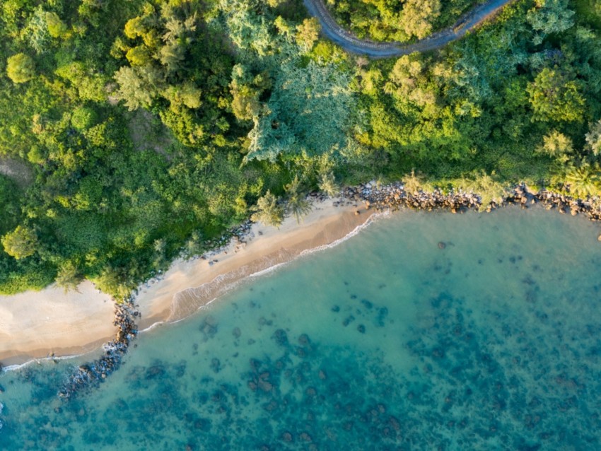 coast, beach, aerial view, sea, trees, vegetation