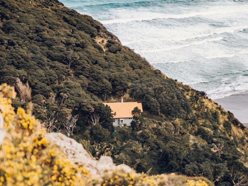 coast, house, aerial view, sea, hill, forest