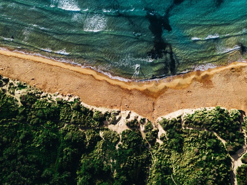 Coast Sea Vegetation Beach Sand Surf Aerial View Background