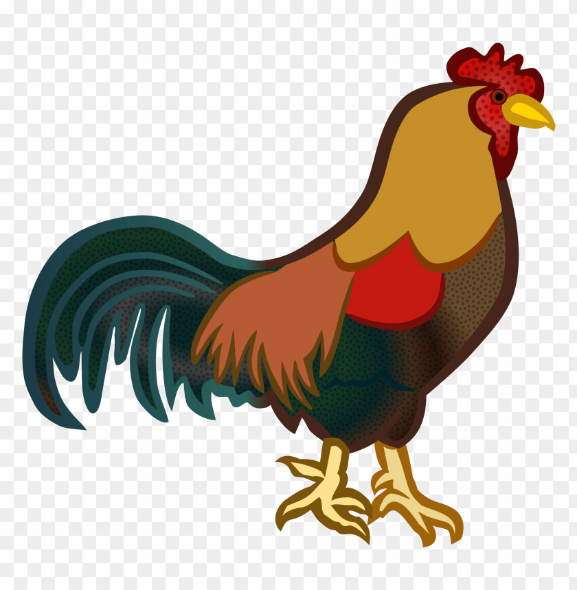 cock png,rooster png,fowl png,crow png,free png,fowl,cock file png